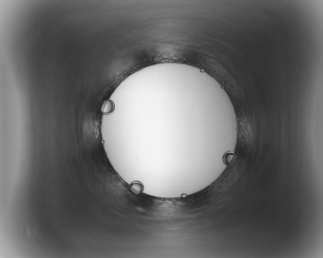 X0000103900621200809261551