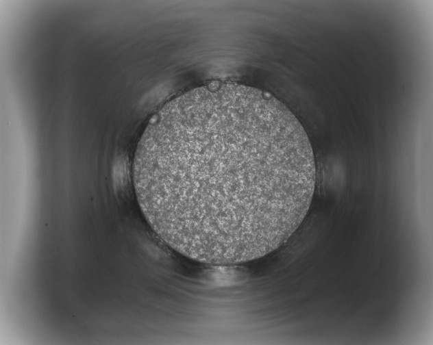 X0000103900623200809261551