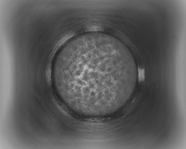 X0000103900627200809261550