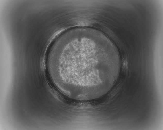 X0000103900628200809261550