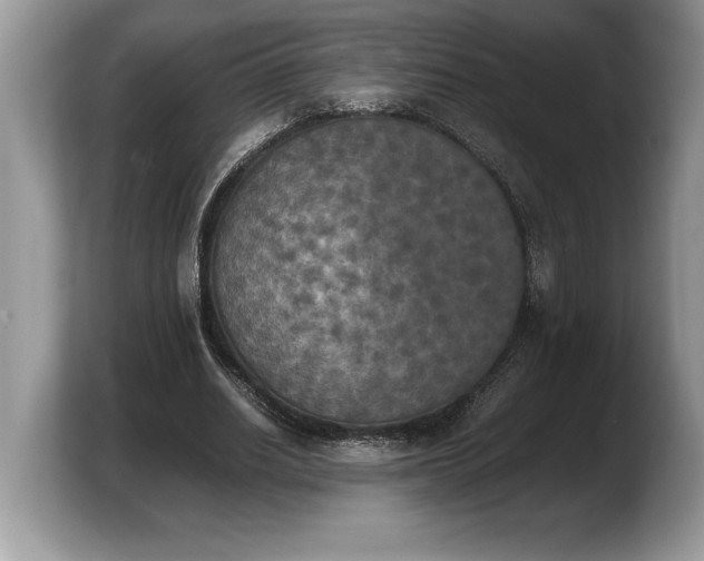X0000103900630200809261550