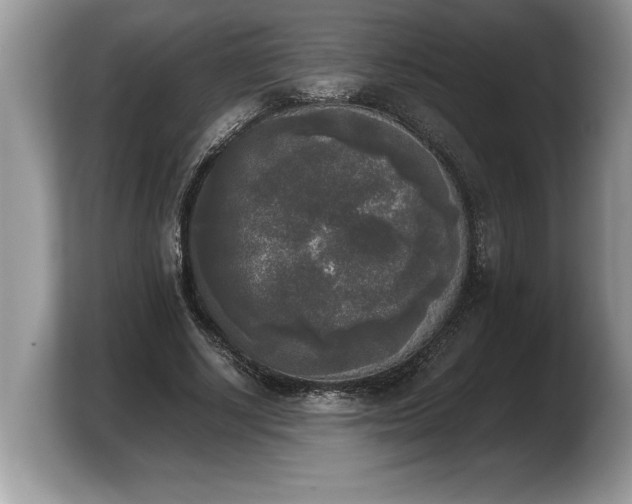 X0000103900634200809261550