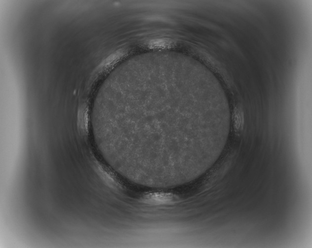 X0000103900637200809261550