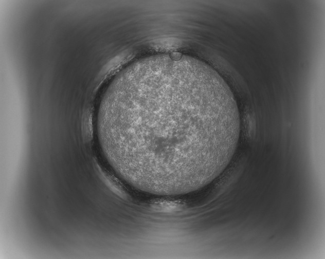 X0000103900638200809261550