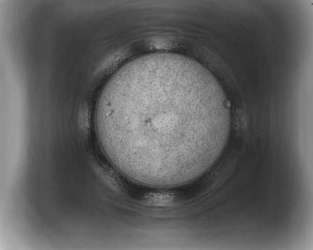 X0000103900639200809261550