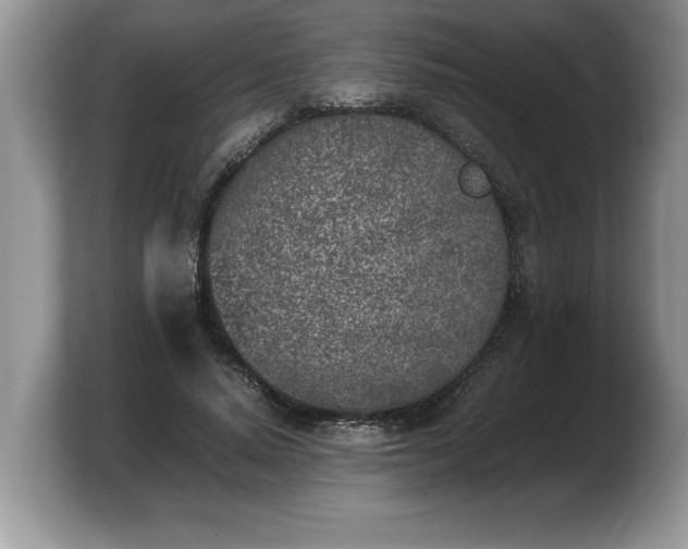 X0000103900640200809261550