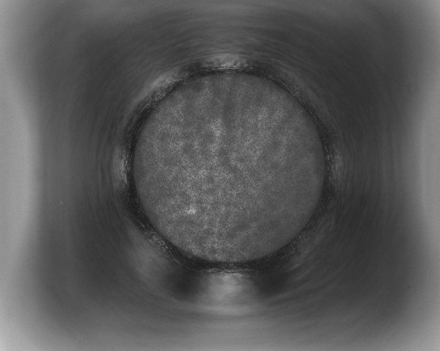 X0000103900643200809261550