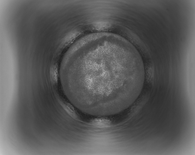 X0000103900644200809261550