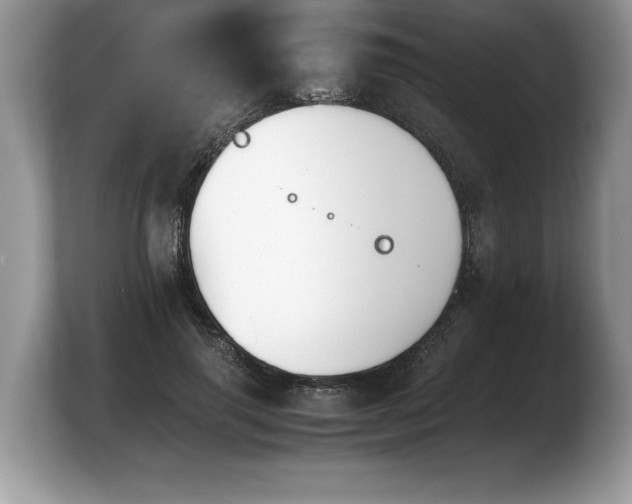 X0000103900645200809261550