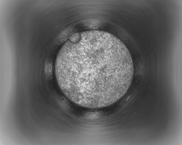 X0000103900646200809261550