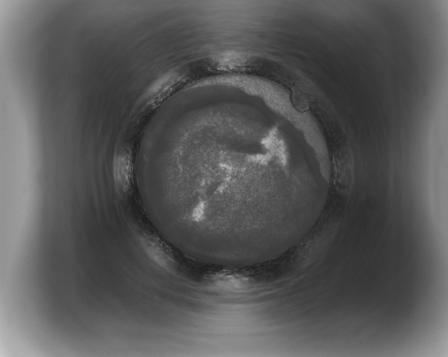 X0000103900648200809261550