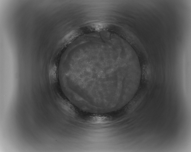 X0000103900650200809261550