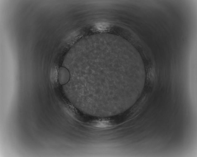X0000103900651200809261550
