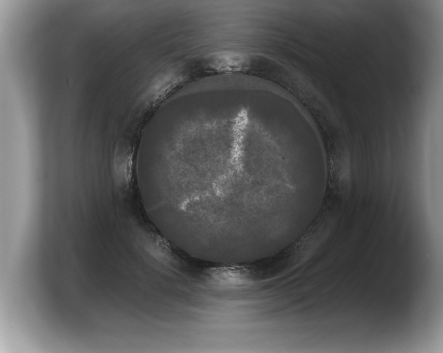 X0000103900652200809261550