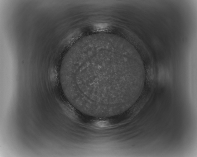 X0000103900653200809261550