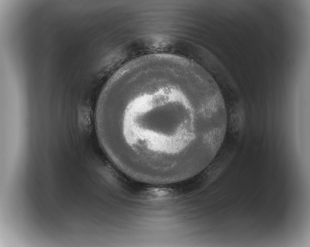 X0000103900654200809261550