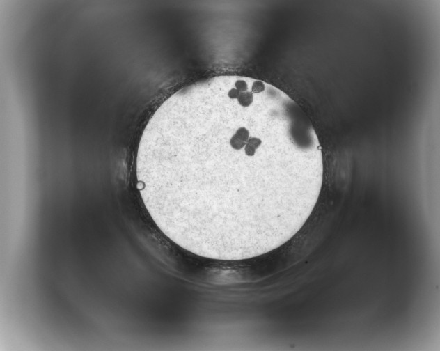 X0000103900655200809261550
