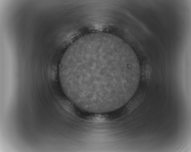 X0000103900656200809261550