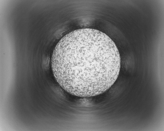 X0000103900660200809261550