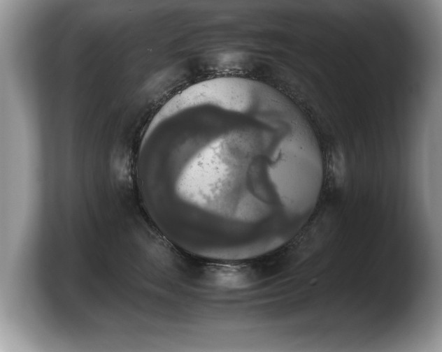 X0000103900663200809261550