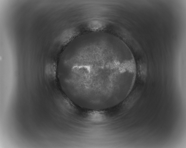 X0000103900664200809261550