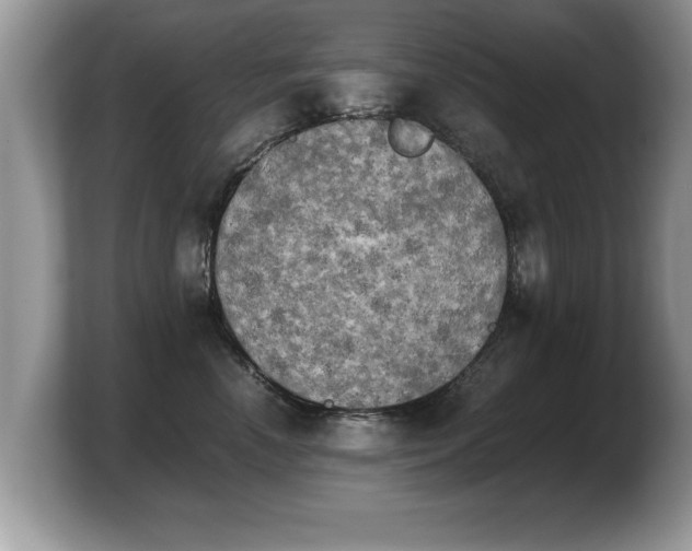 X0000103900666200809261550