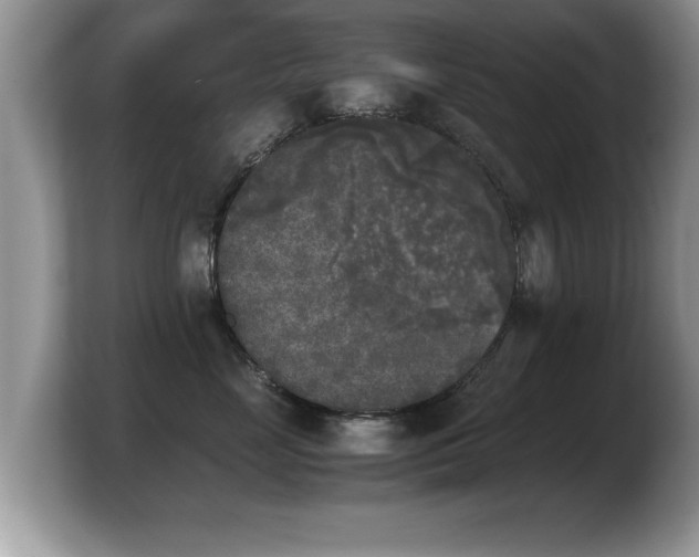 X0000103900669200809261550