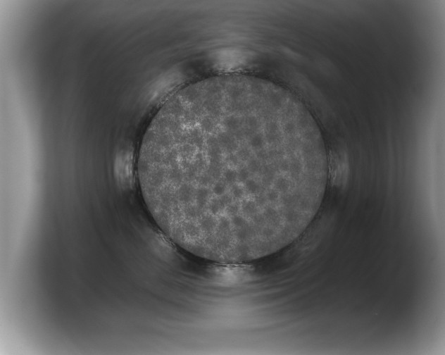 X0000103900670200809261550