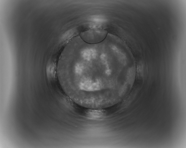 X0000103900671200809261550