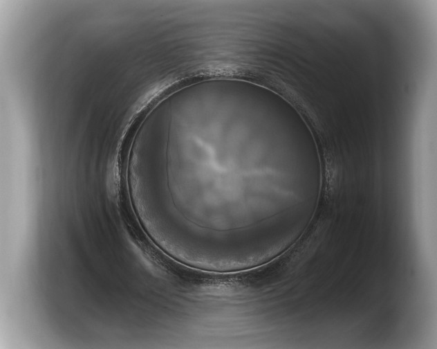 X0000103900674200809261550