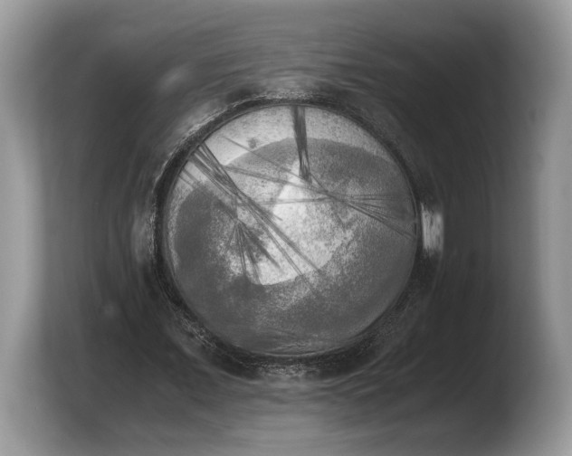 X0000103900675200809261550