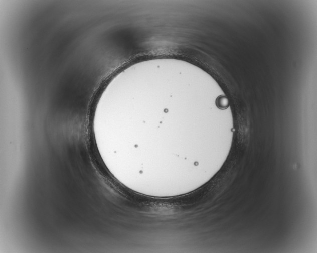 X0000103900677200809261550