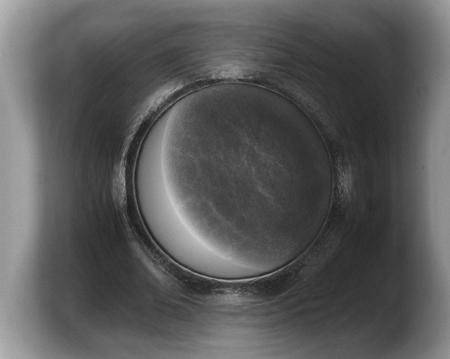 X0000103900678200809261550
