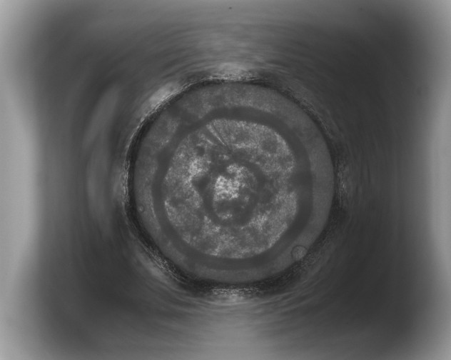X0000103900679200809261550