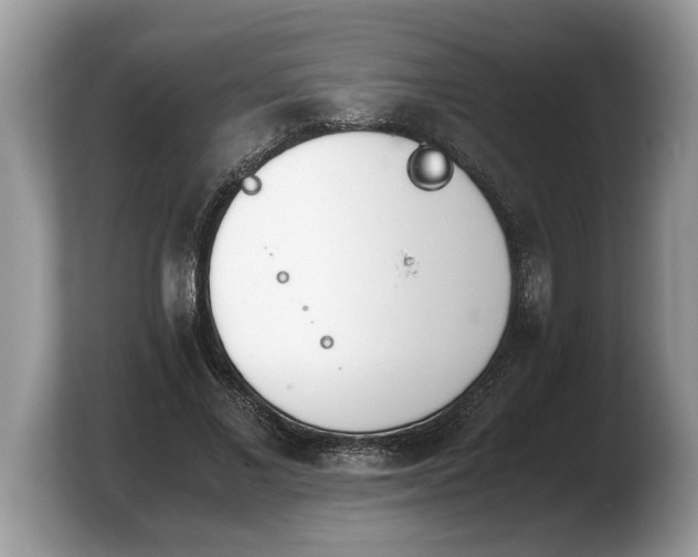 X0000103900685200809261550