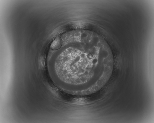 X0000103900695200809261550