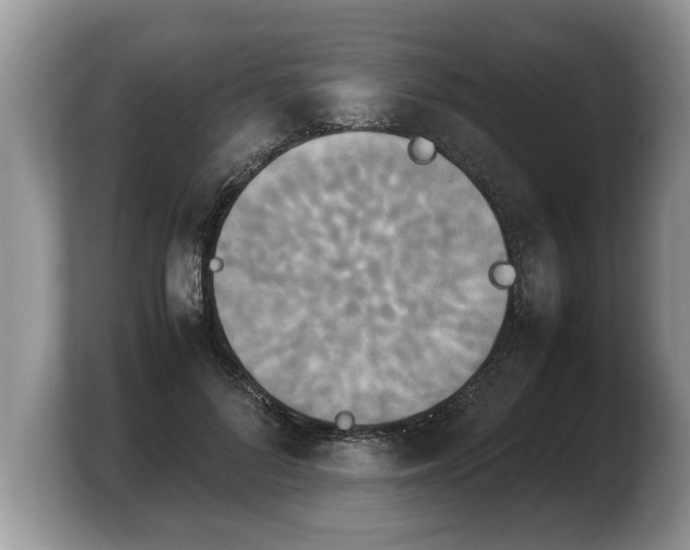 X0000103900696200809261550