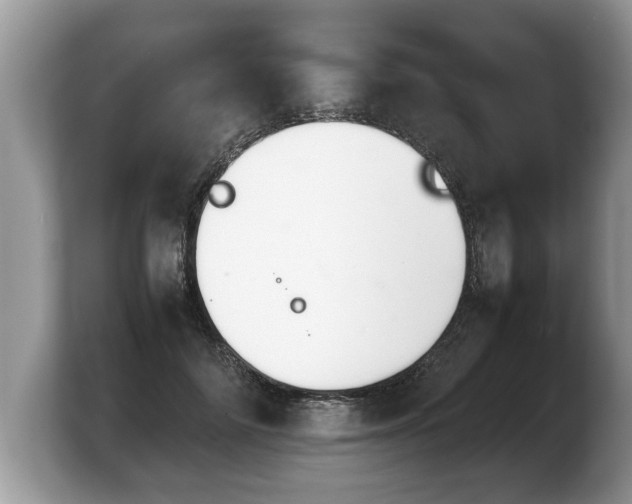 X0000103900698200809261550