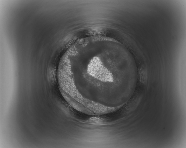 X0000103900699200809261550