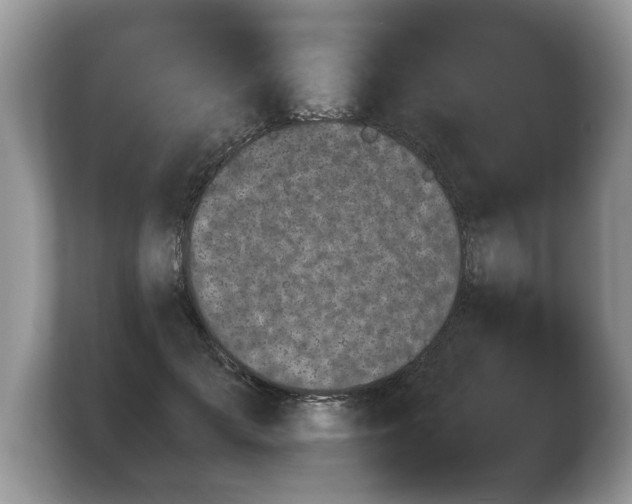 X0000103900701200809261550