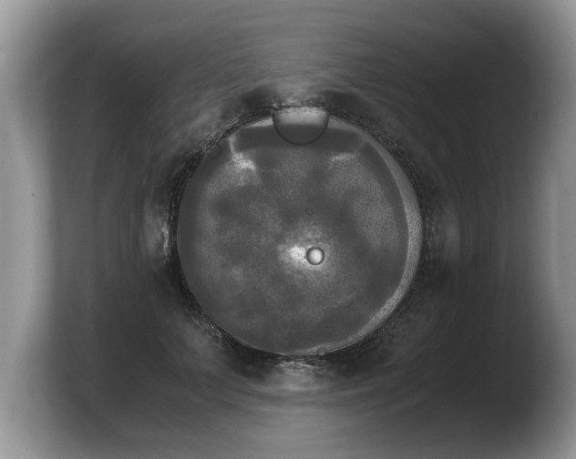 X0000103900703200809261549