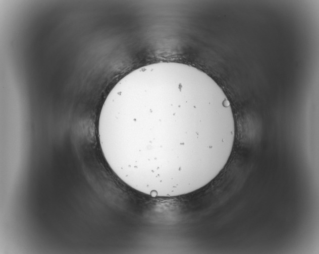 X0000103900705200809261549