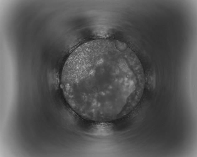 X0000103900707200809261549