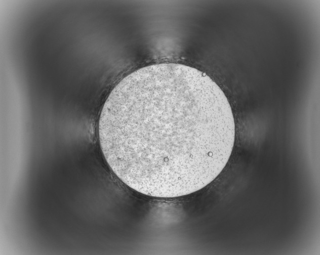 X0000103900709200809261549