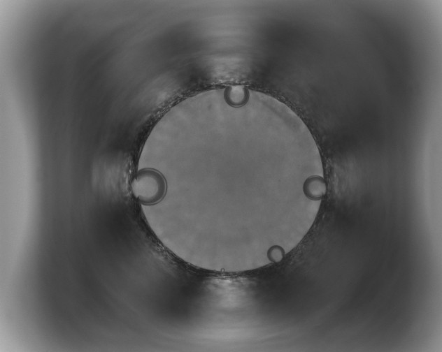 X0000103900712200809261549