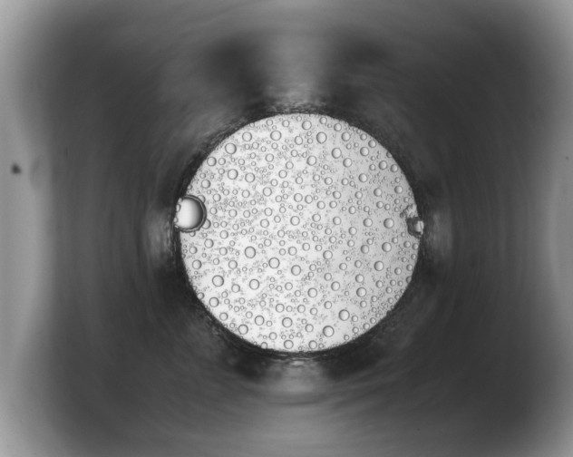 X0000103900715200809261549