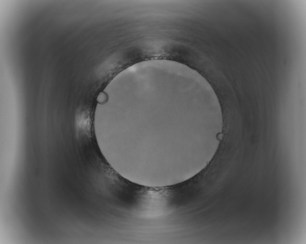 X0000103900720200809261549