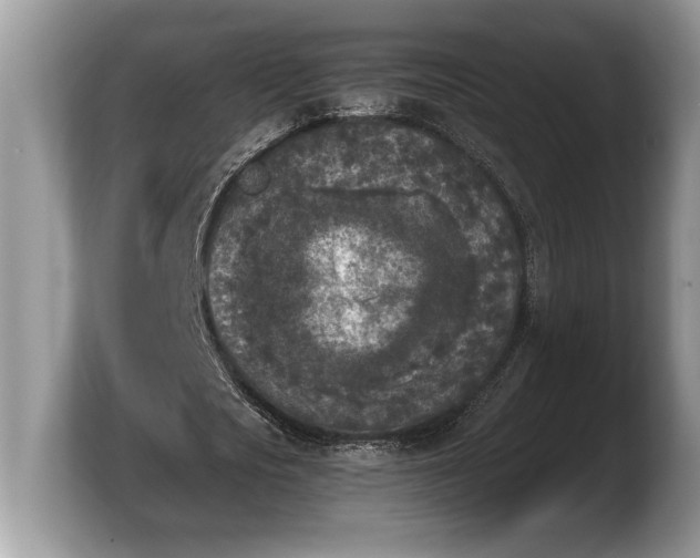 X0000103900721200809261549