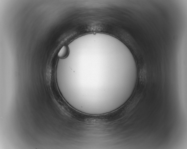 X0000103900722200809261549