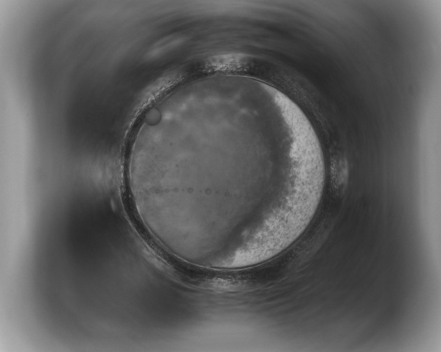 X0000103900725200809261549